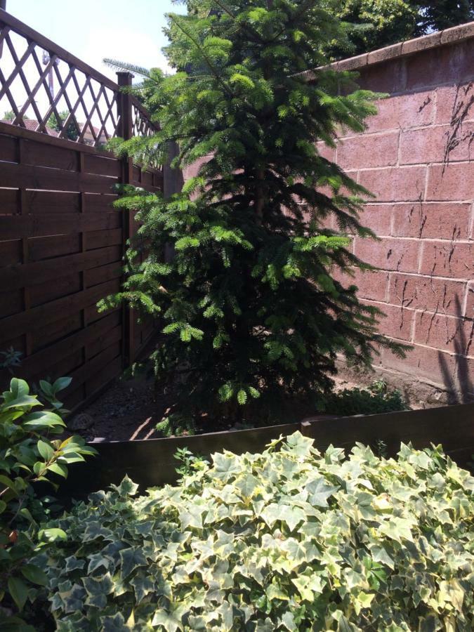 La Porta Nel Giardino Daire Asti Dış mekan fotoğraf