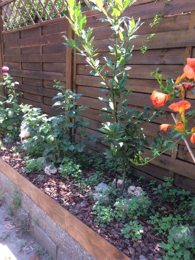 La Porta Nel Giardino Daire Asti Dış mekan fotoğraf