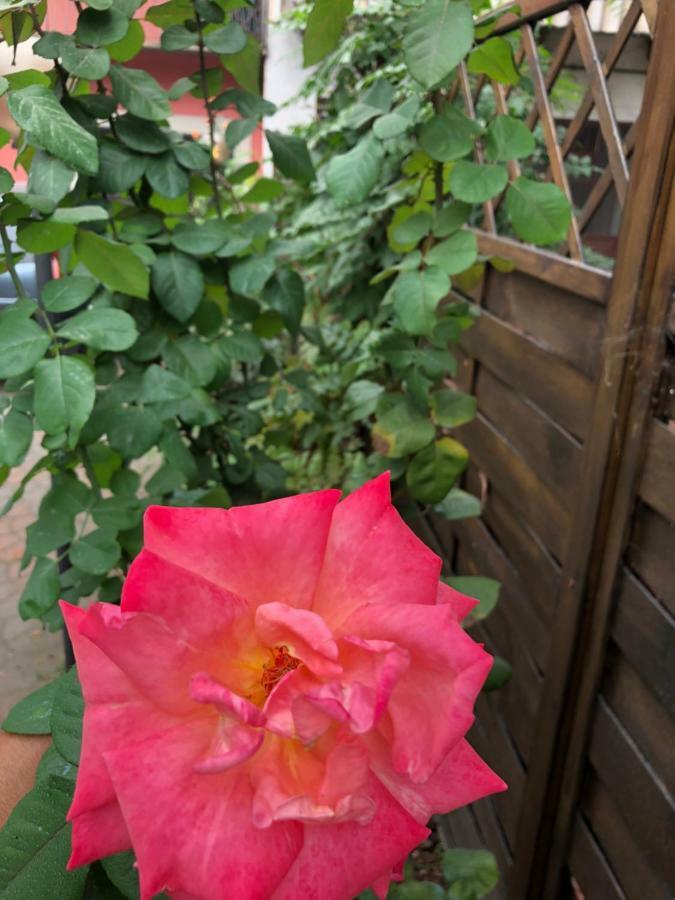 La Porta Nel Giardino Daire Asti Dış mekan fotoğraf